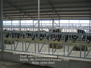 Tubería de acero Caliente-galvanizada equipamiento agrícola de la cerradura de la cabeza del agolpamiento del ganado
