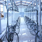 Sistema de cristal automático de la sala de ordeño de la raspa de arenque de la medida de la leche