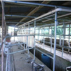 Sala de la raspa de arenque de la espina de pez del inspector del registro lechero de Waikato para la vaca de ordeño/la cabra