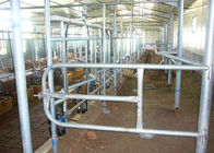 Alta sala automática del tratamiento de la leche de la configuración con el sistema del ACR