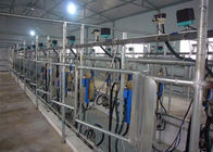 Sala de ordeño automática con el sistema de medida automatizado de la leche de Electroinc